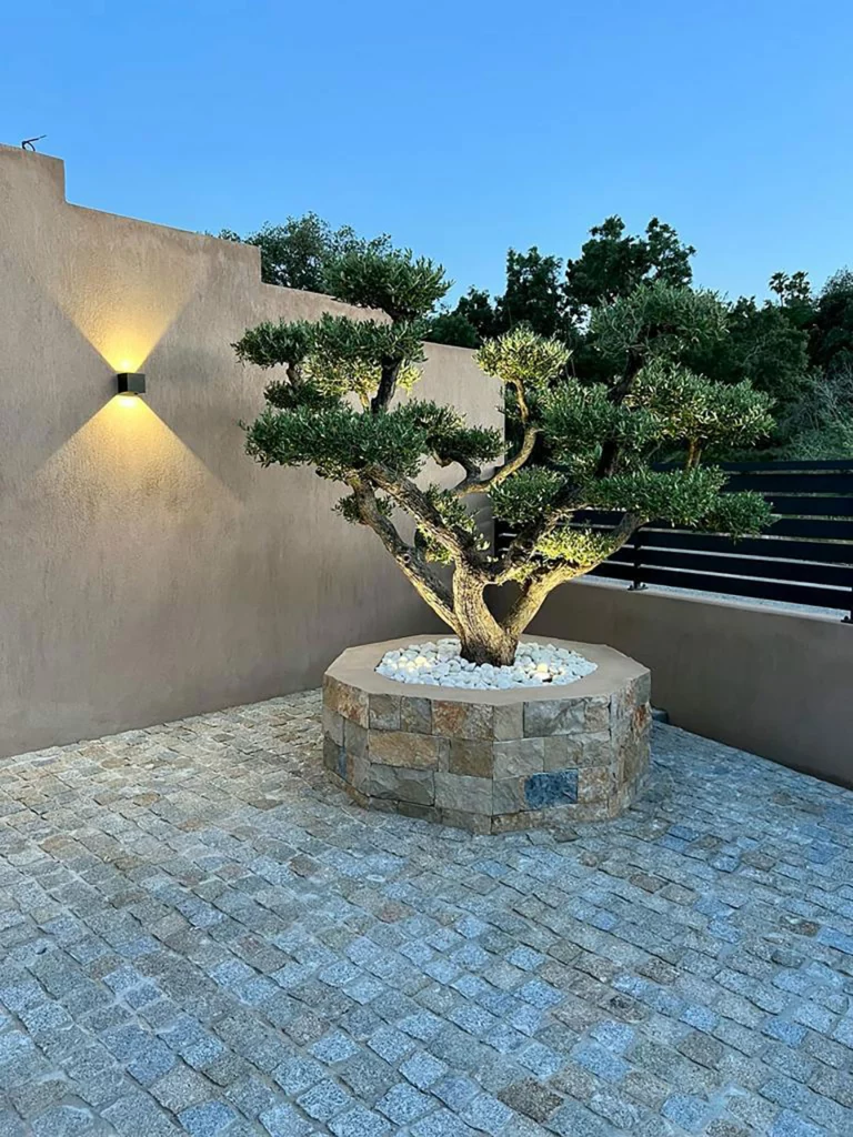 Création D&Rsquo;Une Villa De 133 M² À Saint-Aygulf à Saint-Aygulf — VX Architecture